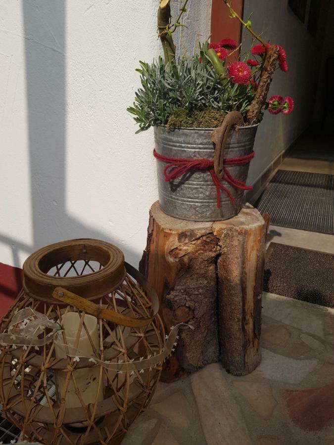 Gaeste Apartement Casa Luber Thalmassing  エクステリア 写真